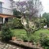 Appartement Prats-de-Mollo-la-Preste, 2 pièces, 4 personnes - FR-1-659-59