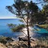 Appartement Cavalaire-sur-Mer, 3 pièces, 4 personnes - FR-1-100-269