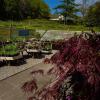 Arduaine Gardens, A816, Arduaine, Oban, PA34 4XG, Scotland.