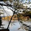 Charmant Gîte Vosgien avec Terrasse, Randonnées et Lacs, Proche Alsace et Col du Donon - FR-1-584-54