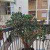 Tilde B&B