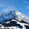 Chalet-Hotel Beau-Site