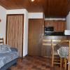 Studio Pralognan-la-Vanoise, 1 pièce, 4 personnes - FR-1-464-71