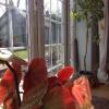 The Summer Room