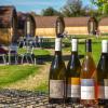 Domaine Joseph LAFARGE Wine Resort Oeno-tonneaux expérience
