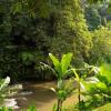 Jalan Kedewatan, Banjar Kedewatan Gianyar, Ubud, Bali 80571, Indonesia.