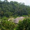 Jalan Kedewatan, Banjar Kedewatan Gianyar, Ubud, Bali 80571, Indonesia.