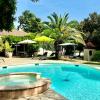 Santolines en Provence