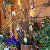 Appartement Emilia
