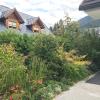 Apartmaji Kranjska Gora