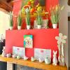 B&B Alloro