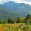 Sonnenhaus A - by Alpen Apartments