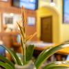 Hostal Doris - Adults Only