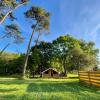 Tente Lodge Bouleau - La Téouleyre