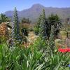 Finca Primavera