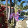 Garden By The Sea