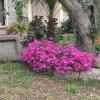 B&B San Michele