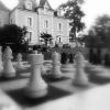 Le Petit Château des Cedres