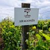 Herdade das Castas Nobres
