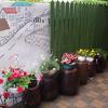 Appletree Guesthouse