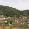 Hostal Arneva Orihuela