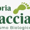 Fattoria La Traccia