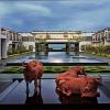 Sheraton Grand Chennai Resort & Spa