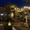 Stargazy Garden