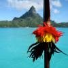 Motu Piti Aau, Bora Bora 98730, French Polynesia.