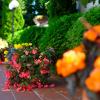 Alekta Hotel - Free Parking