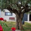 Villa Anna