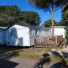 Mobile home camping Pedro