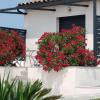 Les Lauriers. Studio cosy avec piscine