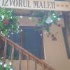 Izvorul Maleii