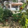 Black Pearl Apartment Lithakia Zakynthos
