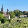 Studio with AC, pool & garden, 2km St Emilion