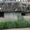 Au Bunker 67