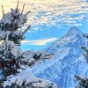 Apartment Leon - by Alpen Apartments