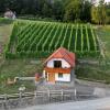 Vineyard Cottage Krivic