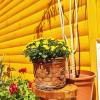 Guest house Nizama's Place