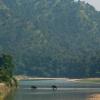 Bardia National Park, Nepal.