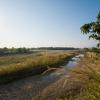 Bardia National Park, Nepal.