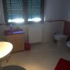 B&B Camelie