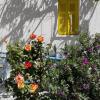 Artist Rooms - Triantafyllou Birth House