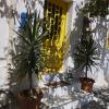Artist Rooms - Triantafyllou Birth House