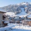 265 Chemin de la Salle, Morzine, 74110, France.