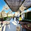 Mariposa Hotel Malaga