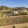 Sole Verde green house