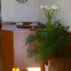 Hostal Rivas