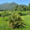 Terra bella Costa Verde T2 classé 3 étoiles